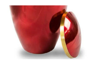 Urnes en métal les plus vendues, présentoir de vitrine pour la maison, urne funéraire américaine élégante pour préserver les souvenirs, urnes humaines - Product Image 3