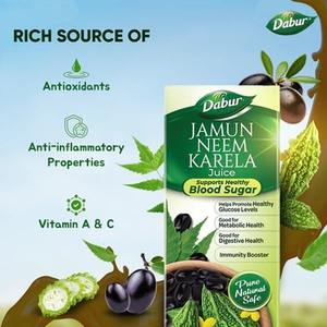 Jugo de Dabur Jamun Neem Karela, Tónico Herbal Ayurvédico para Desintoxicación, Apoyo Digestivo y Cuidado de Bienestar Natural - Product Image 3