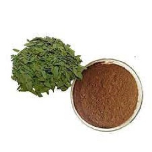 ผงสารสกัดจากใบมะขามแขกออร์แกนิก10% เกรดอาหาร20% กระป๋องบรรจุในกระป๋องหรือเมสันจาร์สินค้าใหม่ - Product Image 1