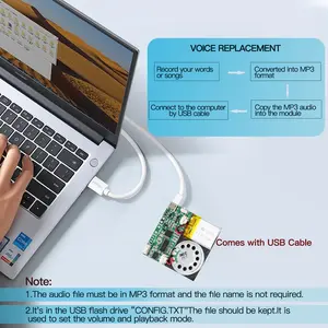 Modul Suara MP3 dapat diunduh USB pemasangan kustom langsung dari pabrik tombol tekan dapat direkam untuk kartu DIY JR1650