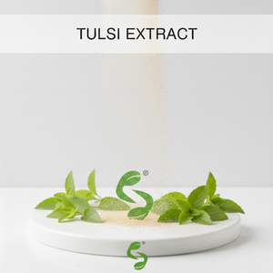 Extrait concentré de Tulsi pour utilisation dans les préparations botaniques, les produits de bien-être et les formulations naturelles - Product Image 1