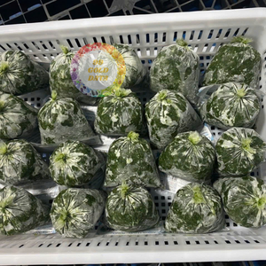 Venta al por mayor de hojas de mandioca congeladas IQF, hojas picadas limpias, ingrediente Vegano para exportación-Caryln 0084935825297 - Product Image 2