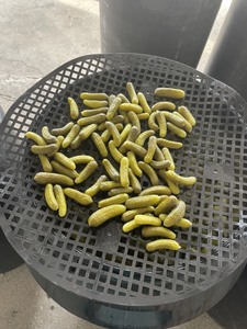 Vente en gros de conserves au Viet Nam délicieux cornichons au concombre en pot cornichons en conserve - Product Image 5