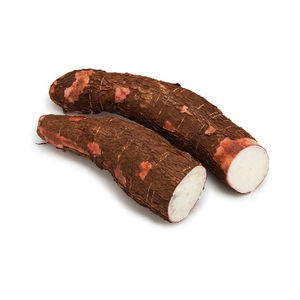 Yuca fresca empacada para envíos internacionales y cadenas minoristas - Product Image 4