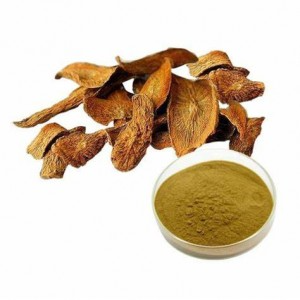 Siêu tinh khiết cây ngưu bàng gốc bột/Superfood lợi ích/giá cả tuyệt vời/sản xuất tại Việt Nam - Product Image 2