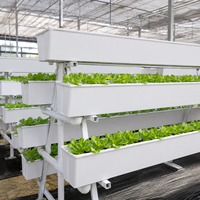 Système hydroponique commercial en A, support de culture vertical NFT pour laitues et légumes-feuilles, pour l'agriculture en serre