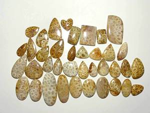 Cabochon de pierres précieuses en vrac de corail fossilisé naturel de meilleure qualité mélange de pierres précieuses en vrac forme et taille utilisation de pierres précieuses pour la fabrication de bijoux - Product Image 3