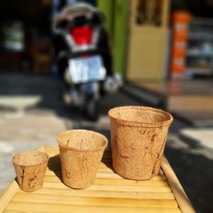 Tendance Offre Spéciale et chaude 2025 empotage en fibre de noix de coco/fibres de pot de coco en fibre de noix de coco 100% au Vietnam et à des prix abordables - Product Image 3