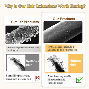 Quantité minimale de commande bas Bob perruque cheveux humains 180% densité 13x4 Transparent dentelle avant perruques cheveux humains pré plumé <span class=keywords><strong>court</strong></span> Bob sans colle perruques droites - Product Image 4