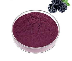 Extrait de fruits biologiques certifiés 100% naturels de BlackBerry en poudre, extraits par solvant, étiquetage privé OEM, pureté 99%, aliment santé - Product Image 1
