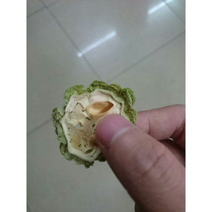 Gourde amère séchée de qualité supérieure adaptée aux mélanges de thé fonctionnels boissons santé recettes alimentaires et marchés traditionnels aux herbes - Product Image 1