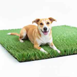Alfombra de Césped Artificial TH-PAG-514 para Perros, Enfocada en la Comodidad, No Tóxica, Textura Realista, Apta para Jugar, Descansar o Entrenar para Ir al Baño - Product Image 1
