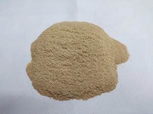 POLVO DE CONCHA DE CAMARÓN VIETNAMITA - IDEAL PARA ALIMENTACIÓN ANIMAL, FERTILIZANTE Y USO INDUSTRIAL - Product Image 3