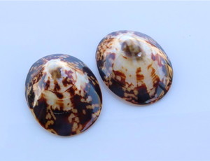 Coquillages d'allaitement naturels-Coquilles ovales naturelles polies Coquillages de haute qualité avec de nombreuses tailles - Product Image 5