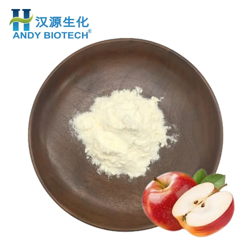 Factory Supply Spray Drying Apple Powder Apple Concentrate Juice Powder For Drinking Or Baking