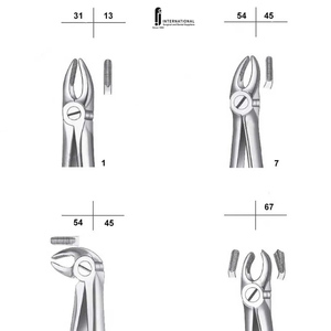 Vente chaude : 12 pinces d'extraction dentaire manuelles, outils professionnels pour l'extraction des dents chez l'adulte, en acier inoxydable - Product Image 2