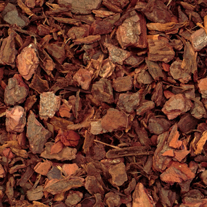 TOP SELLING Vietnamese Pine Bark for Custom Mixes & Specialized Crop Growing, Supports High Value Plants. - Product Image 5