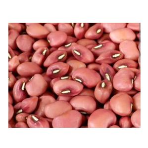 Niébé séché et haricots rouges de qualité supérieure - Product Image 1