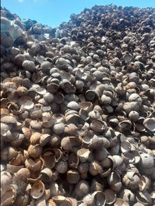Cáscara de Coco Cruda de Vietnam, Suministro a Granel, Ideal para el Procesamiento de Carbón Vegetal y la Producción Artesanal, Grado de Exportación - Product Image 6