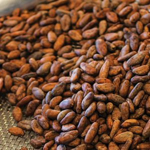 Hữu cơ forastero rang Cacao <span class=keywords><strong>nibs</strong></span> 50kg Lớp 1 khô hạt ca cao nhanh chóng vận chuyển - Product Image 4