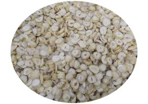 Cortadora de Verduras Industrial de Alta Resistencia Motorizada de 0.5HP, de Acero Inoxidable, para Cortar Nueces y Vegetales con Precisión, Grosor Ajustable, 1 Año de Garantía - Product Image 2