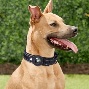 Collar Clásico para Perro de Nailon Resistente y Acolchado Reflectante, Compatible con Soporte para <span class=keywords><strong>AirTag</strong></span>, Rastreo GPS para Perros Medianos y Grandes - Product Image 6