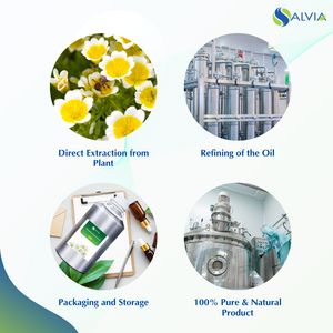 Venta al por mayor a granel 100% aceite de semilla de Meadowfoam puro y natural aceite esencial de embalaje personalizado a bajo precio - Product Image 4