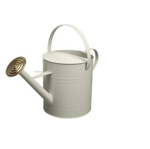 Cette panacée de arrosage produits a vieilli l'arrosoir galvanisé et les propriétés résistantes de rouille s'assurant - Product Image 6