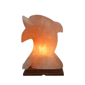 Lámpara de sal del Himalaya de alta calidad hecha a mano con forma Natural moderna personalizada, madera ecológica/Material de sal, decoración única para el hogar - Product Image 4