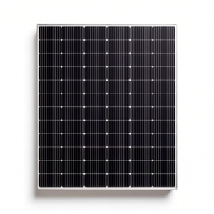 Panneau solaire True Power TP-P60-250 - Product Image 2