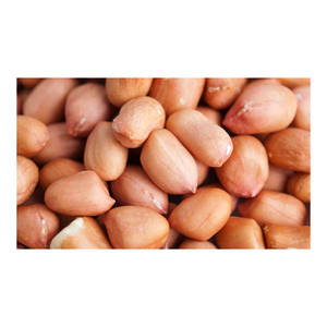 ถั่วลิสงดิบแห้งความบริสุทธิ์สูงถุง PP สูญญากาศ25กก. สำหรับผู้นำเข้าต่างประเทศ - Product Image 3