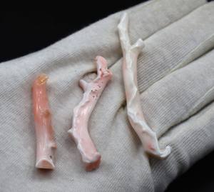 Grand bâton de corail blanc japonais pierre précieuse en vrac peau d'ange corail poli brut fabrication de bijoux de qualité supérieure - Product Image 2