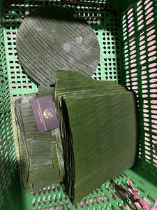 Exportateur en gros de feuilles de bananier fraîches du Vietnam, fournissant des feuilles naturelles et propres pour une utilisation culinaire et d'emballage - Product Image 2