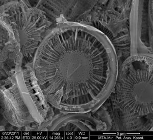 Filtramite diatomacea terra Media filtrante