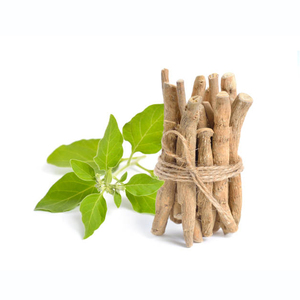 Polvo de raíz entera de Ashwagandha de grado alimenticio de Grado Superior 90% Min. Cultivo salvaje Pakistán - Product Image 5