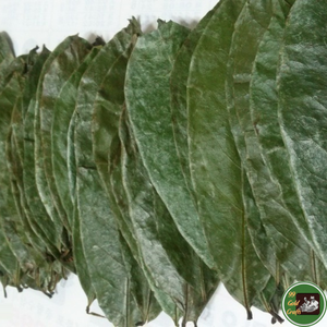Feuilles de corossol séchées de haute qualité, matière botanique naturelle pour la production de thé et de boissons, Vietnam - Product Image 3