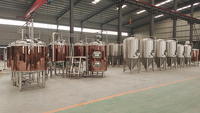Brasserie de bière en cuivre rouge 200l 300l 500L 1000L équipement de brassage de bière Mash Lauter Tun Mini Nano fournisseur d'équipement de brasserie
