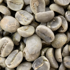 ถั่วเขียวอาหรับน้ำผึ้งออร์แกนิกเกรดการส่งออกจากเวียดนาม - Product Image 4