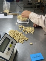 Noix de cajou blanches de qualité supérieure AA, nettoyées, prêtes à consommer, certifiées ISO, origine Vietnam, emballage en vrac, livraison gratuite