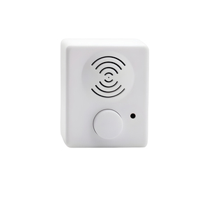 Módulo de Sonido Cuadrado Pequeño Personalizado de Plástico, Altavoz de Juguete DC, Cajas de Sonido de Audio para Peluches, Cajas de Música con Función de Grabación de Voz - Product Image 1