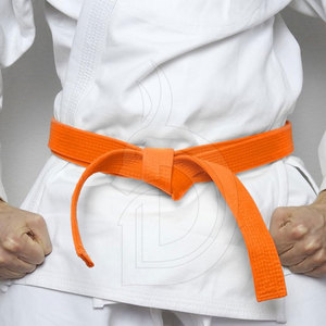 Cinturones de Entrenamiento de Taekwondo, Karate y Judo, Cinturón Profesional de Artes Marciales con Opciones de Rayas, OEM Disponible - Product Image 5