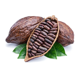 Bulk cocoa <b>beans</b> wholesale organic dry cocoa <b>beans</b> for export to Europe Asia and America for chocolate and cocoa <b>product</b> - Product Image 2