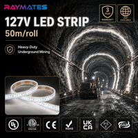 Tira de Luz LED Subterránea de Alta Resistencia IP68 de 127V para Exteriores, para Obras de Construcción, Túneles, Minería, Tira de Luz LED de Alto Voltaje