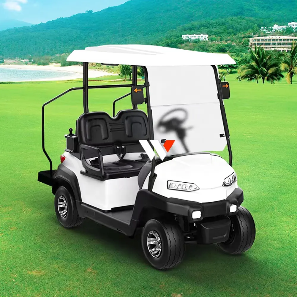 WFSEN usine chinoise, prix bas CE club voiture de golf pièces accessoires 48v batteries voiture de golf électrique