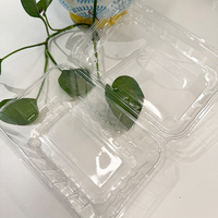 Bandeja Termoformada Transparente de PET/PE de 458*0.35mm para Envasado de Pasta, Bandeja de Plástico de Grado Alimenticio