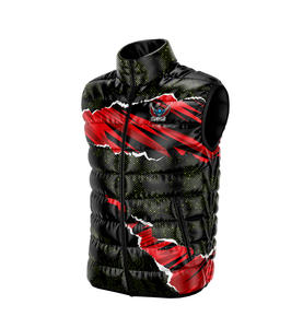 Hiver Personnalisé Puffer Zipper Men Down Vest Breathable Polyester Puffer Vest Coat For Men Quilted Padded Down Puffer Man Jackets - Product Image 1