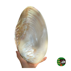 Assiette en nacre avec plat à caviar en argent, assiette en nacre de luxe pour servir, assiette en nacre faite à la main exportateur - Product Image 1