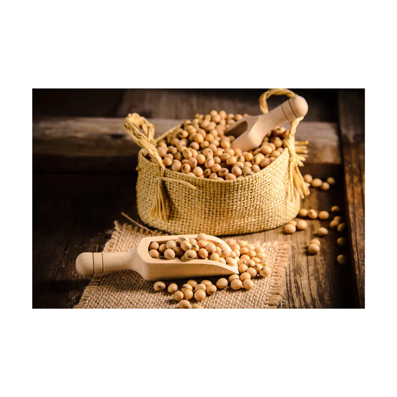 Wholesale agricultural product soybean with high level /High protein non gmo soybeans grain for food healthy food raw soybeans