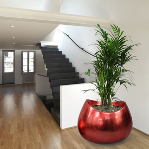 <span class=keywords><strong>Maceta</strong></span> de fibra de vidrio con forma de cilindro de peso ligero <span class=keywords><strong>gigante</strong></span> macetas de FRP alto <span class=keywords><strong>para</strong></span> interiores y exteriores - Product Image 1