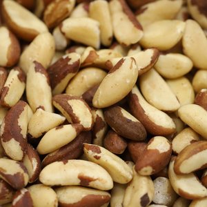 Noix du Brésil séchées de qualité supérieure, 100% naturelles, riches en protéines, avec une durée de conservation de 2 ans, sac de 20 kg, pour la cuisine - Product Image 3